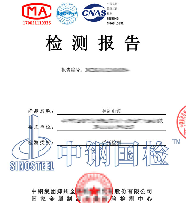 成束燃烧试验检测报告