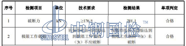 吊带检测项目结果