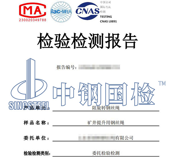 钢丝绳检测报告